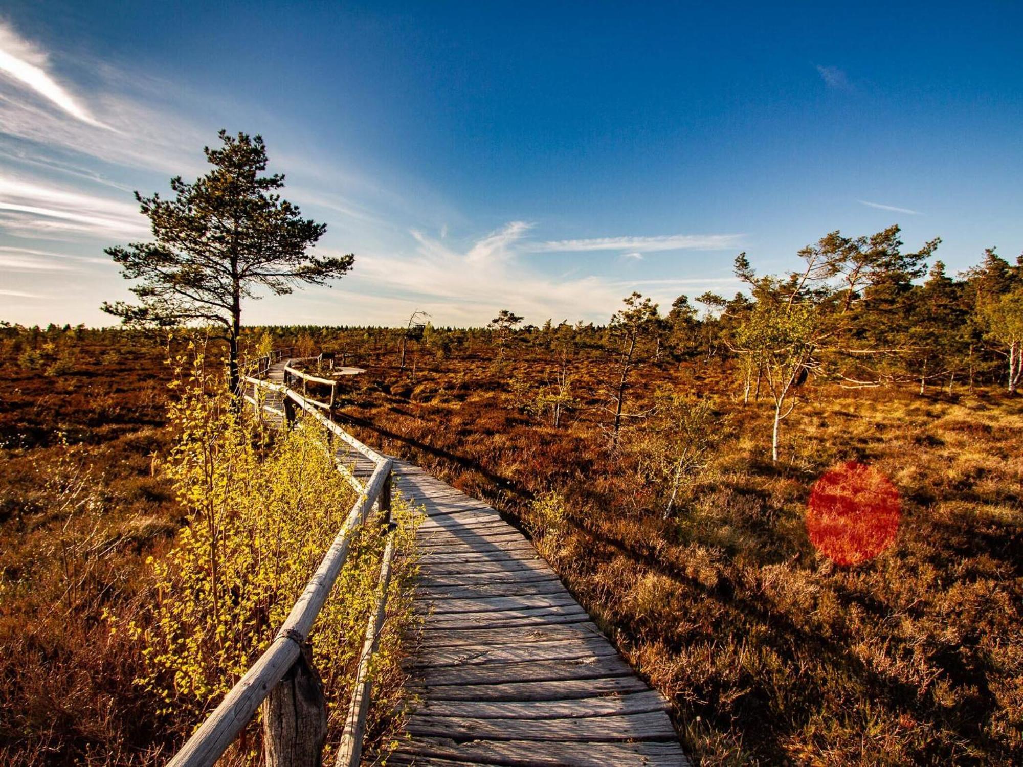 Feriendorf Wasserkuppe Abtsroda Eksteriør billede