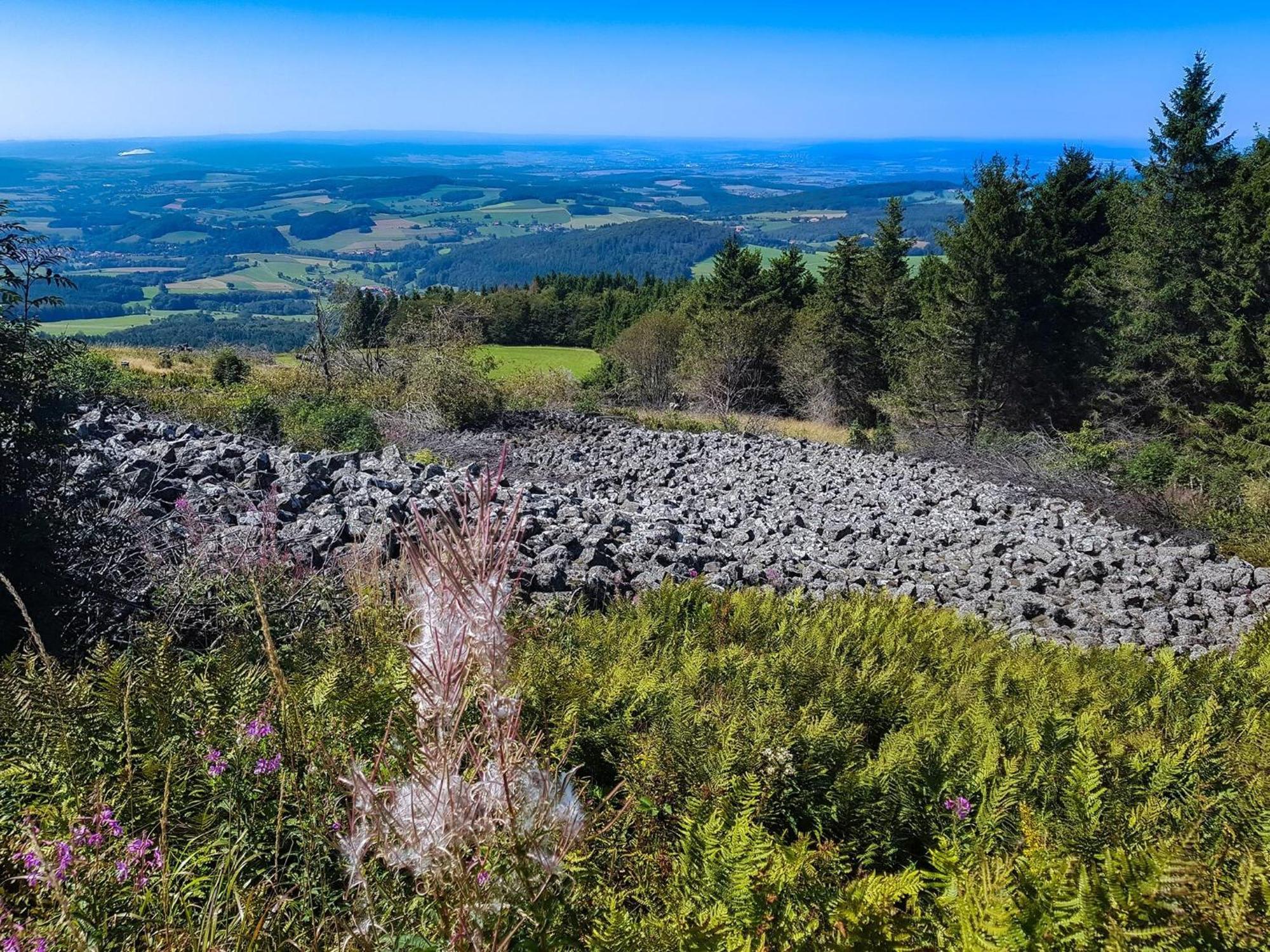 Feriendorf Wasserkuppe Abtsroda Eksteriør billede